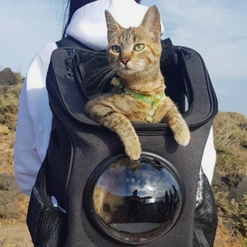 Spacious & Comfortable Cat Backpack