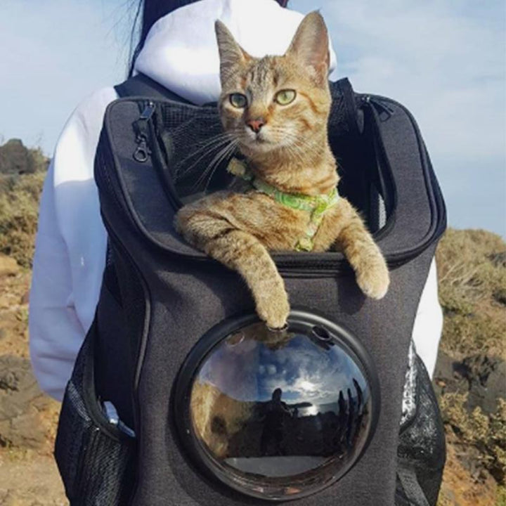 Spacious & Comfortable Cat Backpack