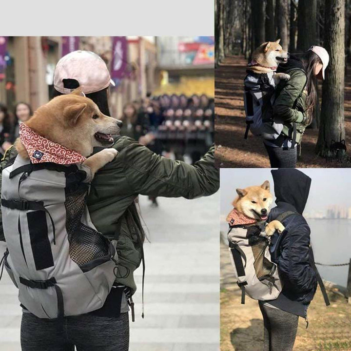 Breathable Travel Backpack For Pet Dog And Cat
