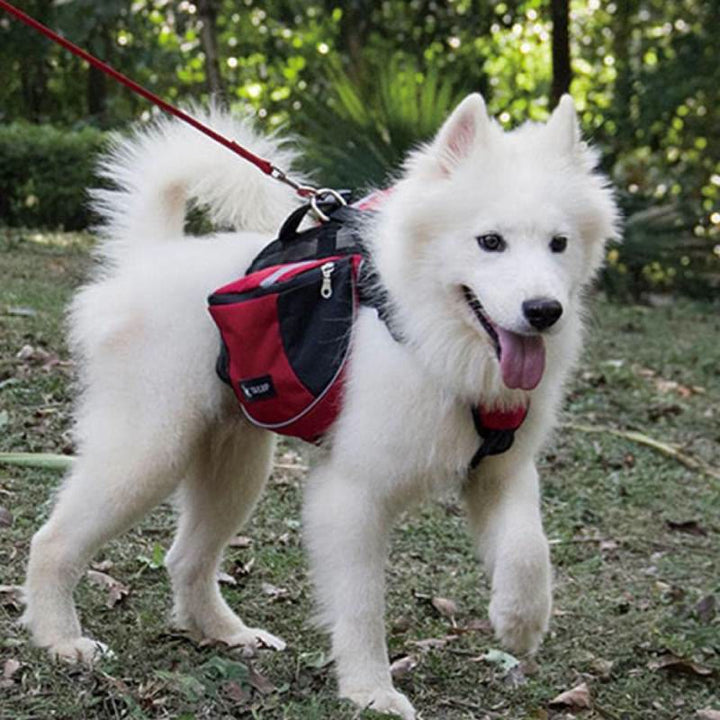 Outdoors Dog Backpack Y-Shaped Saddle Bag for Medium Large Dogs