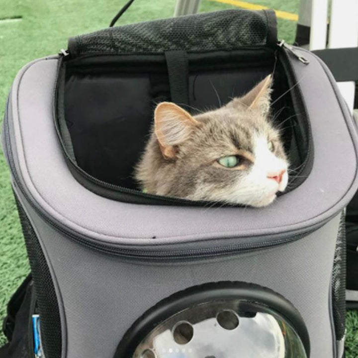 Spacious & Comfortable Cat Backpack