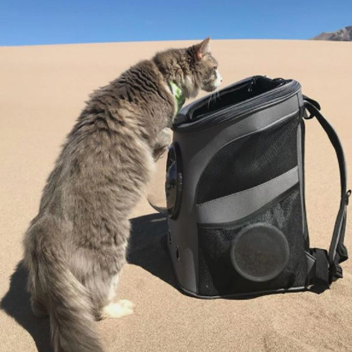 Spacious & Comfortable Cat Backpack