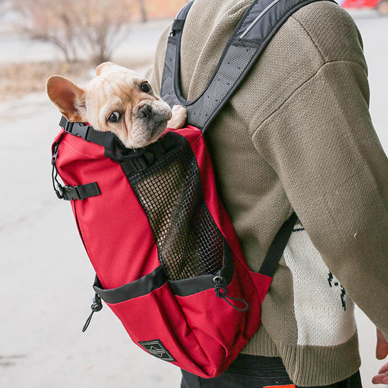 Breathable Travel Backpack For Pet Dog And Cat