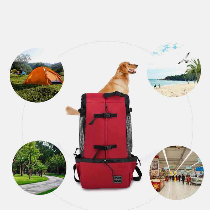 Breathable Travel Backpack For Pet Dog And Cat